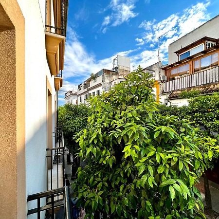 Апартаменты San Fernando De La Ribera Кордова Экстерьер фото